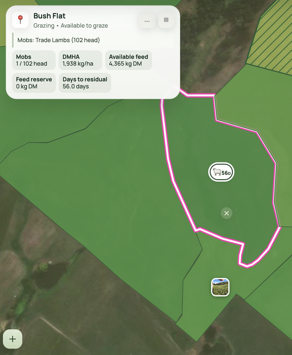 Pasture and mob information for a selected paddock