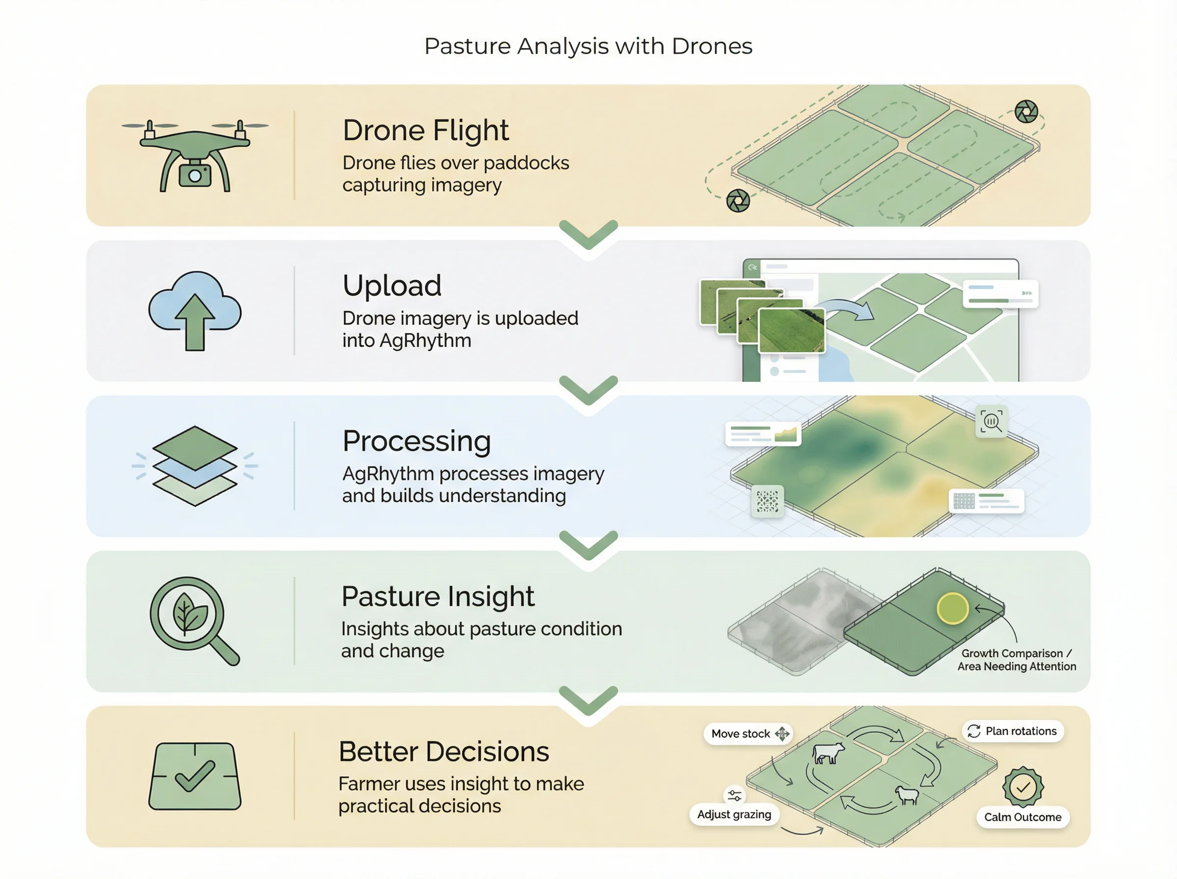 Pasture analysis workflow from drone flight and upload through processing and pasture insight to a farm decision