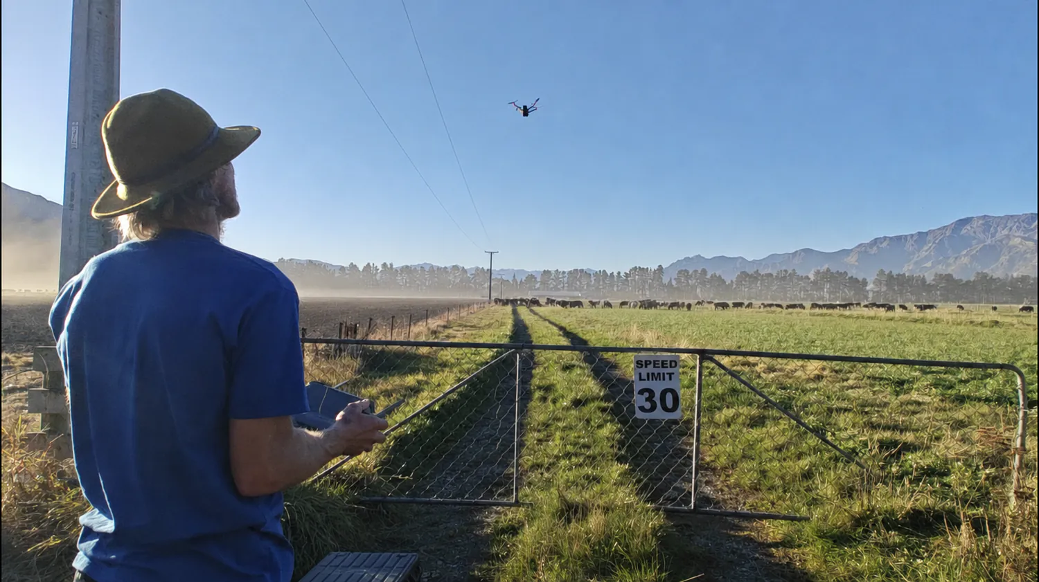 A farmer flying a drone over cattle and pasture near Hāwea